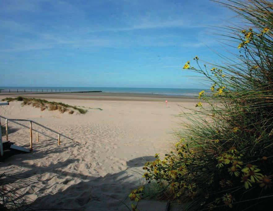 Onmiddellijk aan het strand en de zee ~ Rechtstreekse toegang tot het strand ~ Dichtbij Nieuwpoort FACILITEITEN: Parkeerplaats (gratis) ~ Mogelijkheid tot het huren van lakens ( 5 per paar) ~ Het