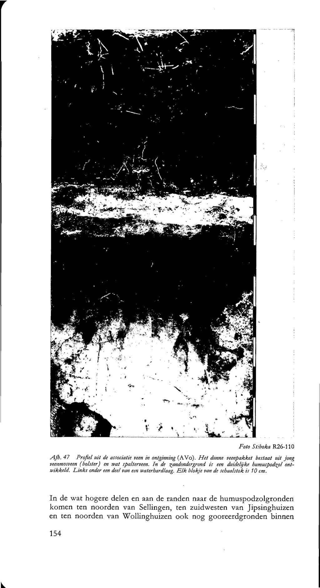 Foto Stiboka R6-UO AJh. 7 Profiel uit de associatie veen in ontginning (AVo). Het dunne veenpakket bestaat uit jong veenmosveen (bolster) en mat spalterveen.