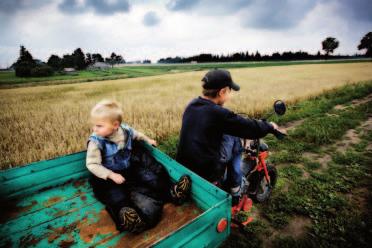 Geld verdienen met honing Bijen worden als soort steeds vaker bedreigd door moderne landbouwmethoden, maar ze zijn redelijk gezond in dat deel van het land waar geen pesticiden worden gebruikt.