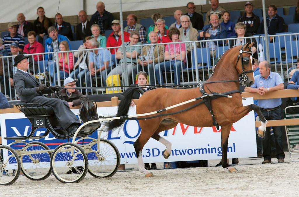 FOKKER VAN HET JAAR De Atleet-dochter Gesiena sleepte viermaal het nationaal kampioenschap binnen, daarnaast werd ze dit jaar eervol vierde in de Finale der Nationale en schreef ze het