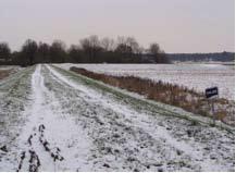 Grensmaas nabij Aan de Maas voor en na het hoogwater van januari 2011 3.
