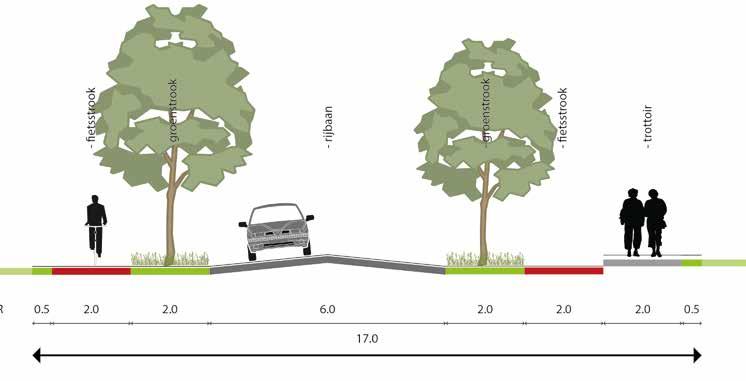 2. Profielen en Knelpunten profiel groen In dit profiel is er aan weerszijden van de rijbaan ruimte gereserveerd voor een groenstrook met bomen.