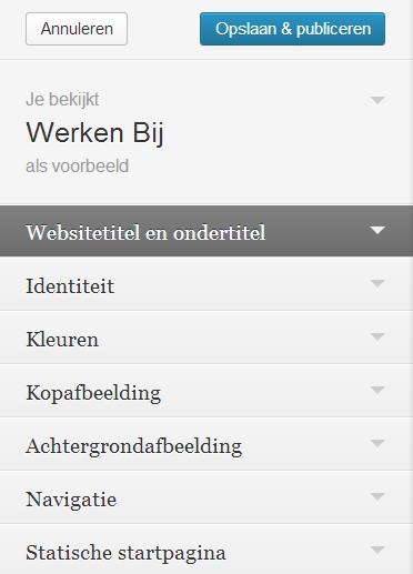 Websitetitel en ondertitel Wanneer je op het onderdeel Websitetitel en ondertitel klikt wordt er een menu opengeklapt waarbij je deze titels kunt meegeven aan de werkenbij website.