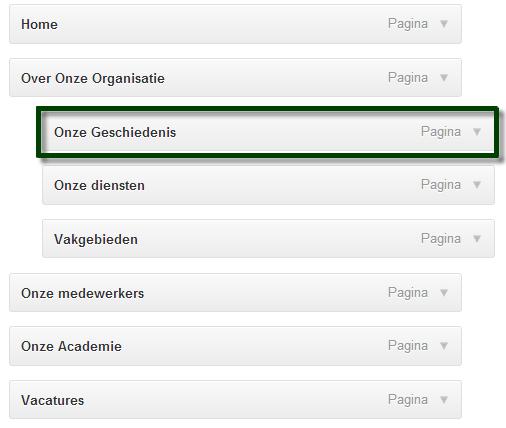 Voorbeeld subpagina: In onderstaand voorbeeld wordt duidelijk gemaakt hoe je een subpagina kunt herkennen. Hierbij is de pagina Onze Geschiedenis (groene kader) een subpagina.