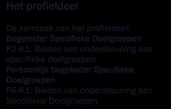 Generieke onderdelen Profieldeel Het profieldeel van een kwalificatiedossier beschrijft de verdieping van de beroepsspecifieke onderdelen van jouw