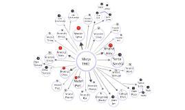 Fase 1: inventariseren 27/11/15 Genogram: visuele voorstelling van