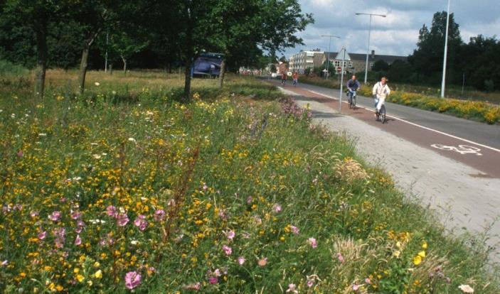 verschillende habitats in de stad