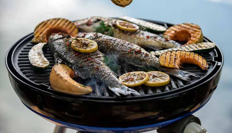 SPECIFICATIES CAMPING BBQ S SPECIFICATIES TUIN & TERRAS CARRI CHEF SKOTTELBRAAI GRILL 2 BRAAI PAELLA BRAAI GRILLO CHEF GRILLO CHEF TABLETOP SAFARI CHEF CAMP CHEF 2-COOK MERIDIAN WOODY MERIDIAN 3B