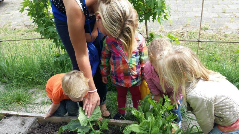 Nieuws van Kleine-Ikke 2 Oudercommissie 2 Moestuin 2 Vakantieplanning BSO 3 Boekstart 4/5 Facebook 5 Sluitingsdagen