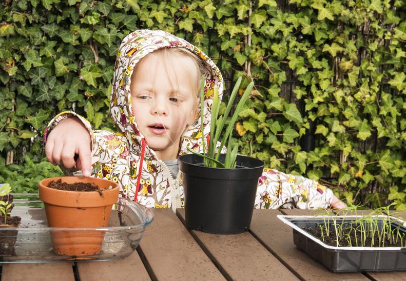 Voorwaarden basisverzekering en aanvullende verzekeringen