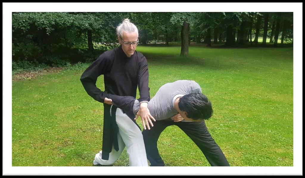 12 - Tai Chi is a martial art and it is good to practise the selfdefense