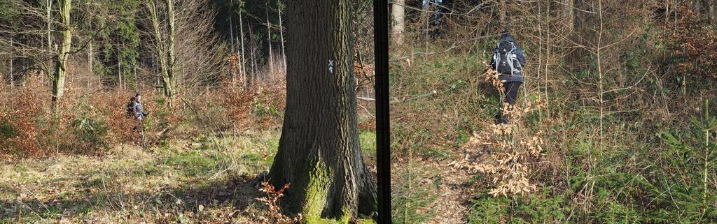 verderop in de strook struiken staan.