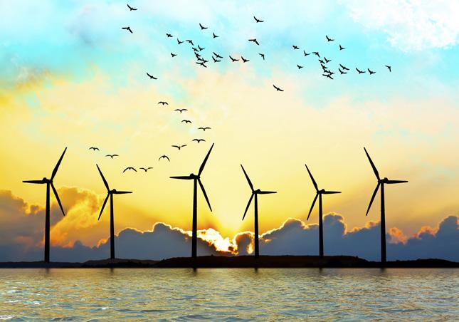 Kansen op de Noordzee: PhD@Sea Offshore windenergie biedt grootschalige, betaalbare, duurzame energie.
