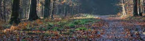 Baelen Best-of Le clocher tors de Baelen L Hertogenwald Le Barrage de la Gileppe Les diverses promenades Le jeu du drapeau Aux portes de la Fagne, entre bocage et forêts Dichtbij de Hoge Venen,