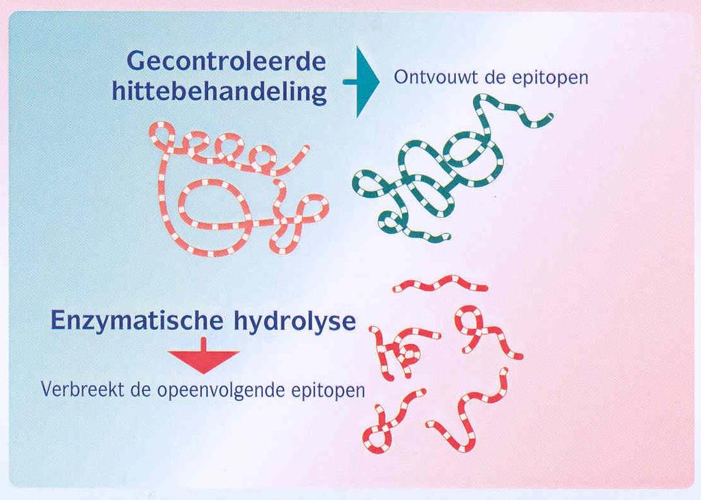 Baby heeft risico op allergie Hypo-allergene