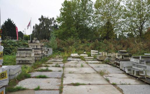 Binnen de planlocatie zijn geen bomen aanwezig met geschikte holten en spleten waarin vleermuizen kunnen verblijven.