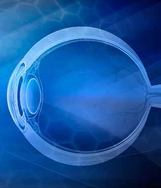 Pijplijn: stand van zaken Preklinische activiteiten Oftalmologie In 2011 startten we een aantal nieuwe onderzoeksprojecten om onze interne pijplijn van oftalmologische producten uit te bouwen.