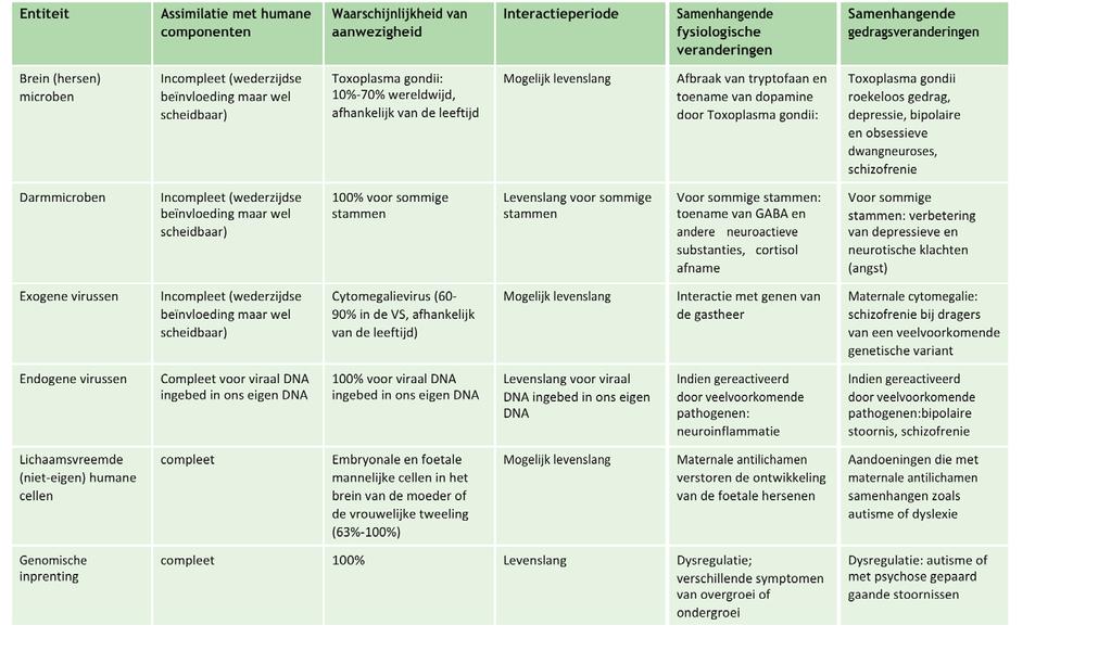 De verschillende entiteiten die samen met de