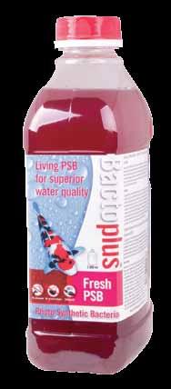 RED Geen kleurstoffen Ontdek de kracht van Fresh PSB! BactoPlus Fresh PSB - levende PSB voor een superieure waterkwaliteit.