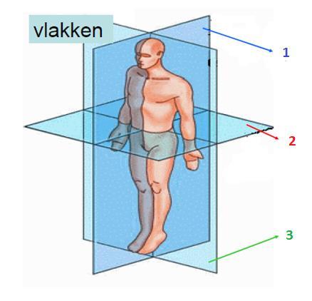 metabolisme Met dank