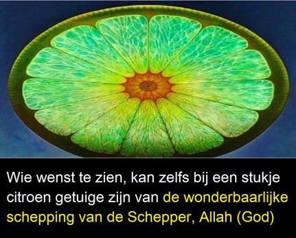 Dat Allah ons aanspreekt met "Oh jullie de verstandigen!", is ook om de mensen aan te sporen om hun verstand te gebruiken. Kennis hebben en bewust handelen is een ware deugd.