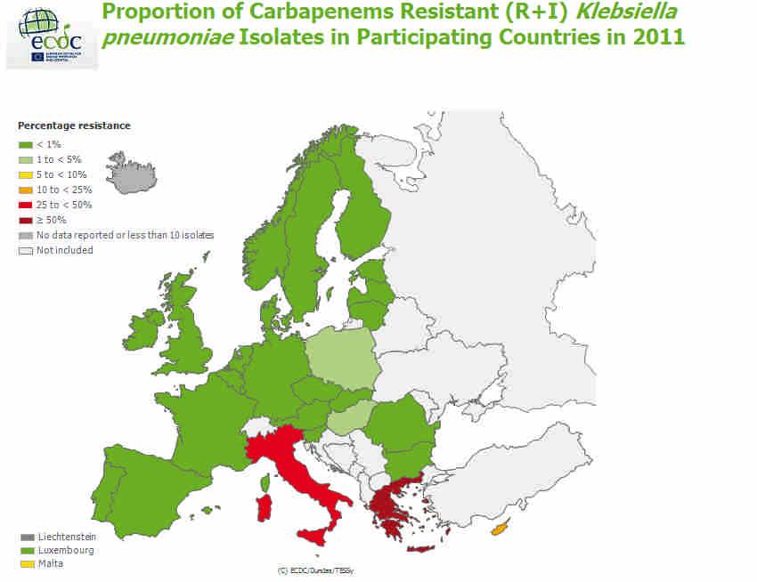 K pneumoniae en carbapenem