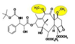 Sanofi-aventis taxanen 2 verschillende chemische entiteiten Docetaxel Cabazitaxel (XRP6258) Docetaxel Cabazitaxel X Y O -OH -OCCH 3 -OCH 3 -OCH 3 De 2 geneesmiddelen zijn geëxtraheerd uit de naalden