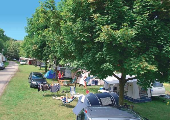 Bienvenue au camping Alpes Dauphiné cœur des Alpes du Sud, dans les Hautes-Alpes, sur la Route Napoléon ( RN 85), à AUproximité du Parc National des Ecrins et du Lac de Serre-Ponçon, à 20 minutes à