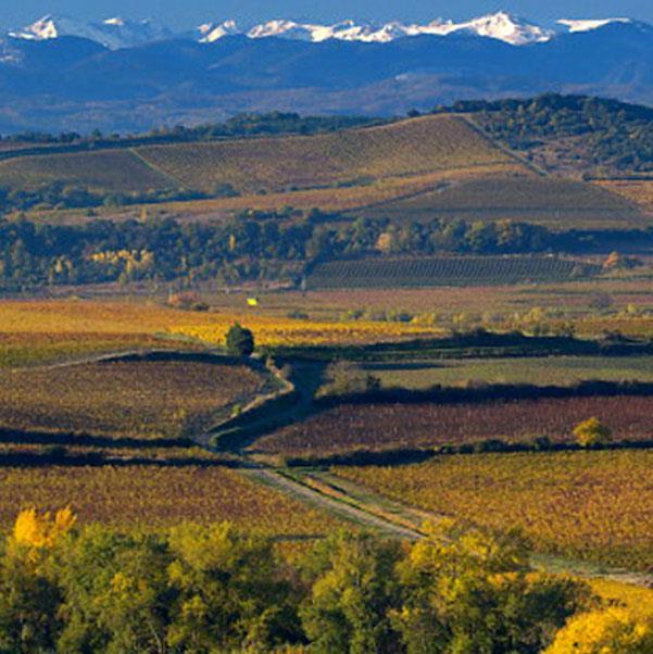 Dynamisch Languedoc-Roussillon is de meeste dynamiek wijnstreek van Frankrijk.