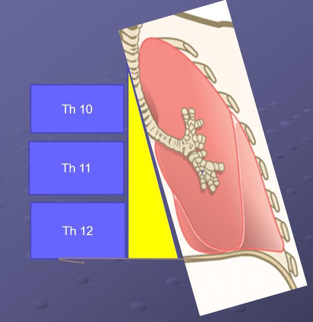 Pancreatitis