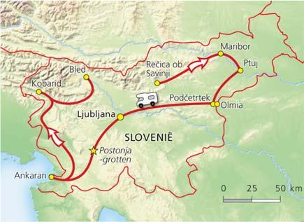 Voorbeschouwing: reis Slovenië Periode: 2 juni t/m 23 juni 2018 Kosten: 525,-- per equipe Een reis naar het hart van Europa; het verrassende Slovenië.