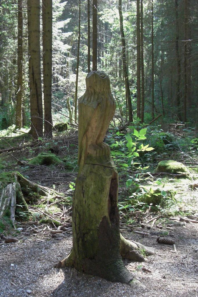 Eenmaal afgekoeld en verkwikt zochten we de rust van het bos weer op voor het laatste