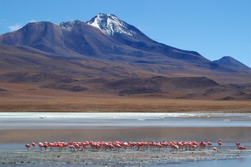 Dag 13: San Pedro de Atacama - Laguna Colorada/Salar de Uyuni (Bolivia) Vanuit San Pedro de Atacama start het avontuur naar Uyuni.