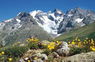 Découverte de Gap et sa région Gap en zijn omgeving Gap à 2 km du camping (bus urbain en saison), capitale des Alpes du Sud vous charmera par son centre