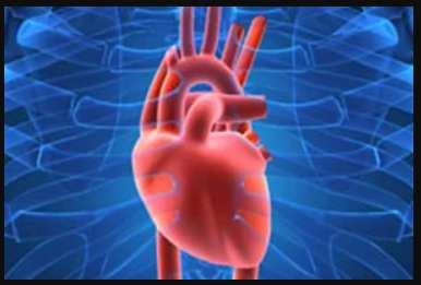 Hemodynamische effecten Zeer mild negatief inotroop Activatie sympaticus Verhoogde kans cardiale