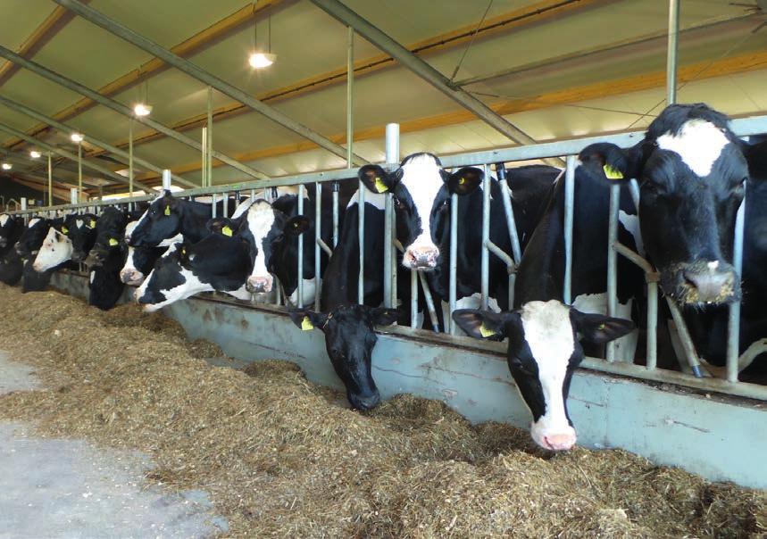 De melk bevat een schat aan informatie over de toestand van de dieren. Maar melk naar een laboratorium brengen, is duur en de uitslagen komen pas dagen later.