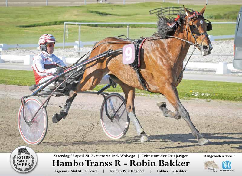 3 PRIX FAMILY DAY WOLVEGA (MERWESTAAL TALENT CH.) 12.35 U. Draverij van meet. Winso