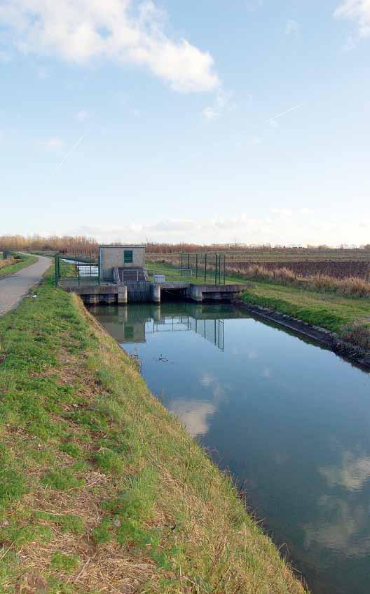 NMV: rechtstreekse verkiezing bestuurders waterschappen handhaven De NMV is verheugd over het standpunt in het regeerakkoord om de waterschappen niet op te heffen.