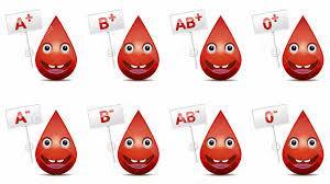 Bloedgroepen Bloedgroep: ABO/D Aan of afwezigheid van A en/of B Aan of