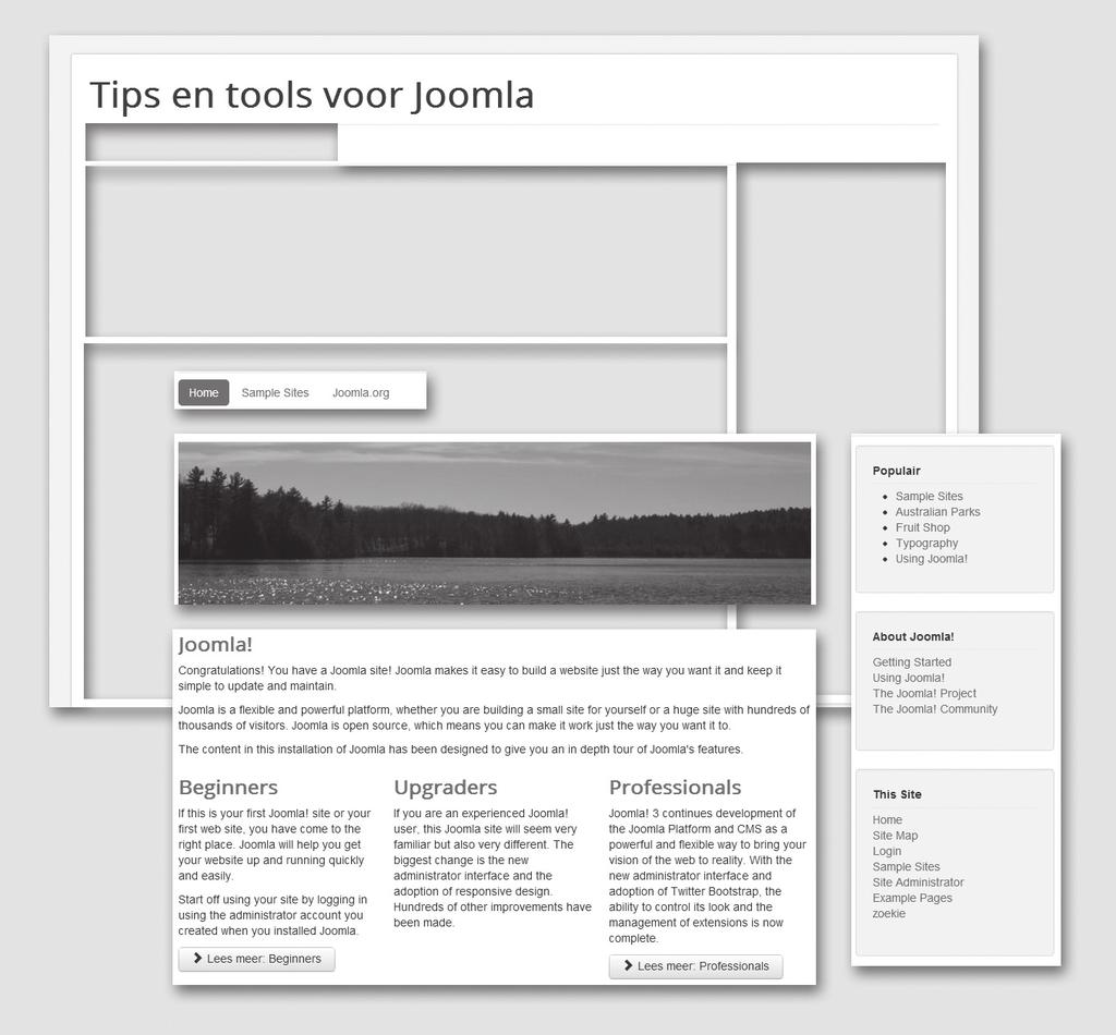 1 Een cms, hoe werkt dat? de homepage en in de rubriek tuinartikelen. Kortom, websites bouwen met Joomla betekent een nieuwe manier van werken, maar je krijgt er veel flexibiliteit voor terug.