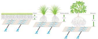 L Eco-Mat associe un double tuyau goutte à goutte diffuse l eau uniformément sous la surface. Idéal pour toîts végétalisés.