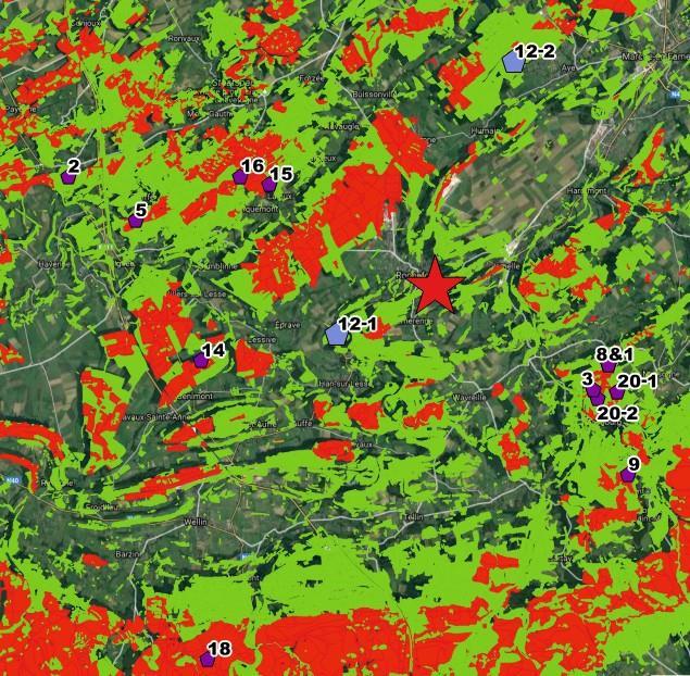 Gevonden verblijfplaatsen De zwerm site (rode ster) en de verblijfplaatsen van Bechsteins