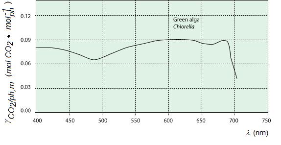 γ [mol CO 2 / mol fotonen] Figuur 2.3. De CO2-consumptie γ in mol per mol geabsorbeerde fotonen als functie van de fotongolflengte λ.