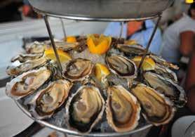 L De omgeving De Charente-Maritime is de streek van de oesters fines de claire van