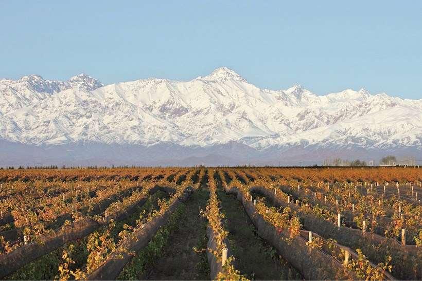 ARGENTINA - Mendoza Domaine Bousquet # Jean Bousquet groeide op in een wijnfamilie, dat al 4 generaties lang werkzaam was in het zuid-franse plaatsje Carcassonne (Languedoc).