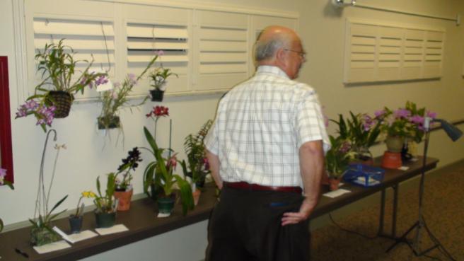 Toen bezocht in de lokale orchideeënvereniging en gaf ik er een lezing over Europese