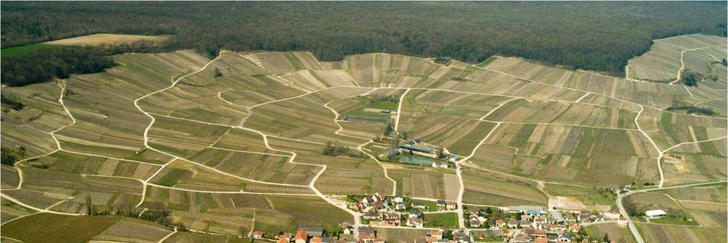 Unesco Werelderfgoed levende culturele landschappen (2015) Prijsontwikkeling Champagne