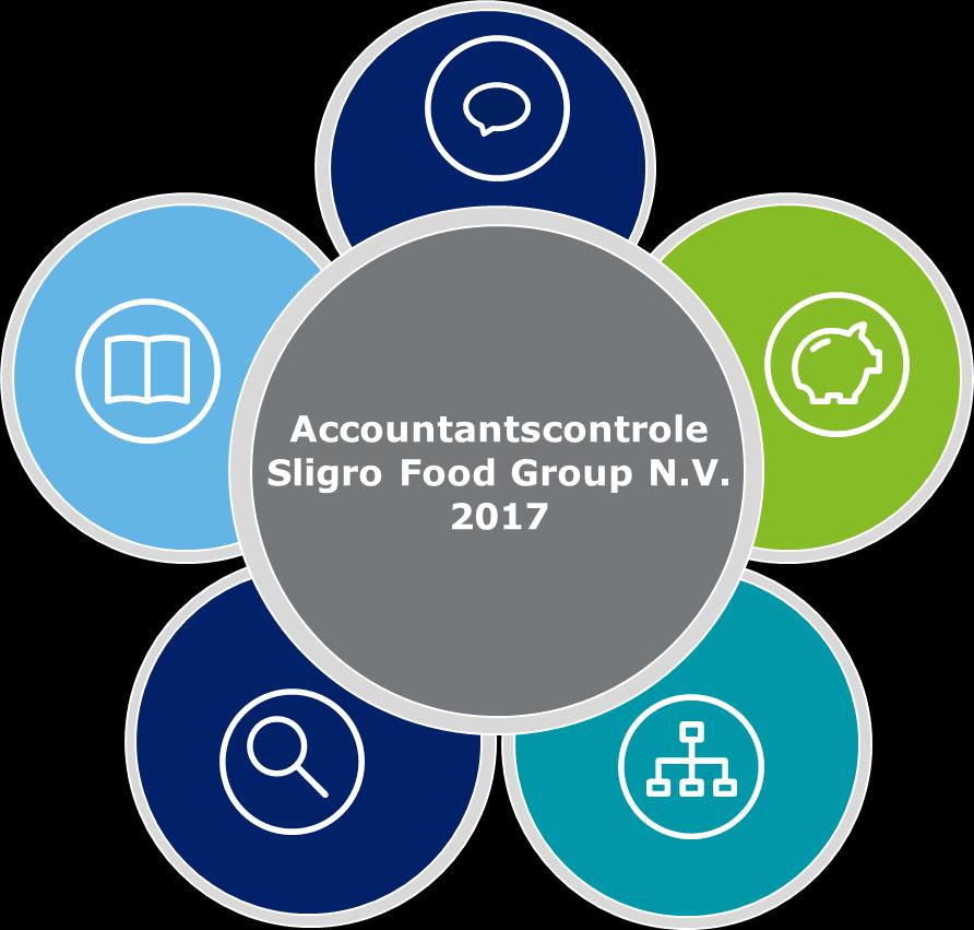Samenvatting accountantscontrole Deloitte JAARREKENING EN BESTUURSVERSLAG Goedkeurende controleverklaring bij de geconsolideerde en enkelvoudige jaarrekening, inclusief bevestiging van onze