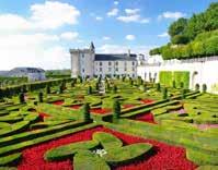 Ons programma nodigt uit om met ons de Loirevallei te bezoeken: de kastelen van Chambord, Chenonceau, Clos Lucé, Cheverny, de tuinen van