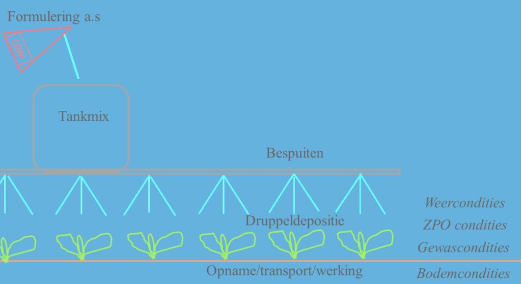 2.1.4 Afwegingskader en groepering van middelen Het doel van dit project is robuuste beslisregels op te leveren voor variabel doseren van middelen op het niveau van 3 30 m 2.